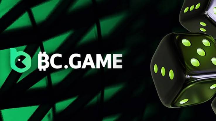 Guide to the BCGame.vc Login Process Steps and Tips